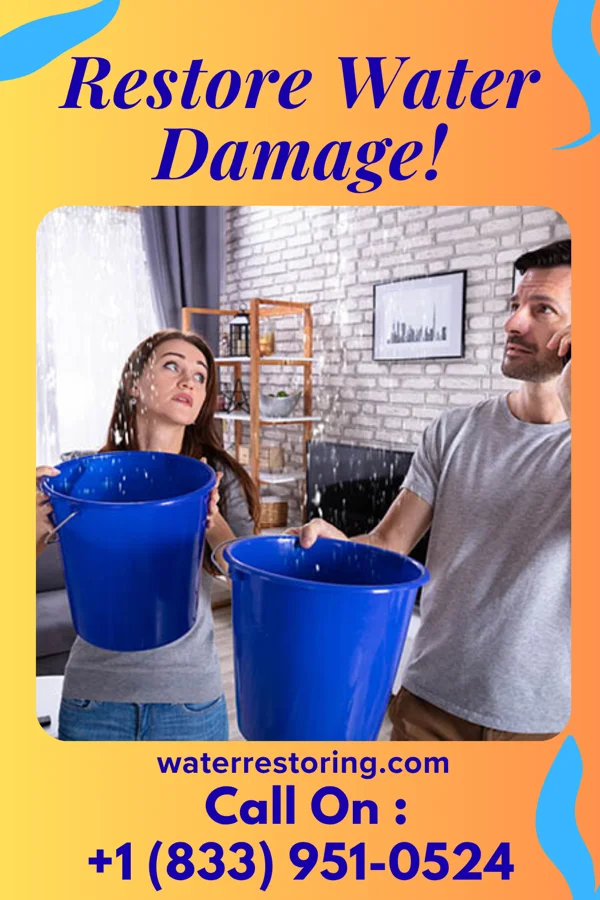 water restoration Precision Water Removal Ruckersville